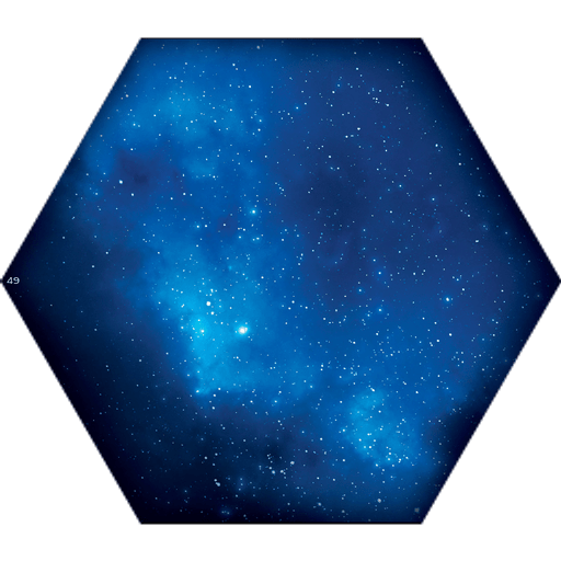 Tile 49